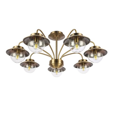 Светильник потолочный Evoluce Garonni SLE110102-07