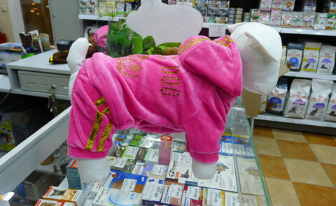 Royal Dog костюм велюровый М (розовый)