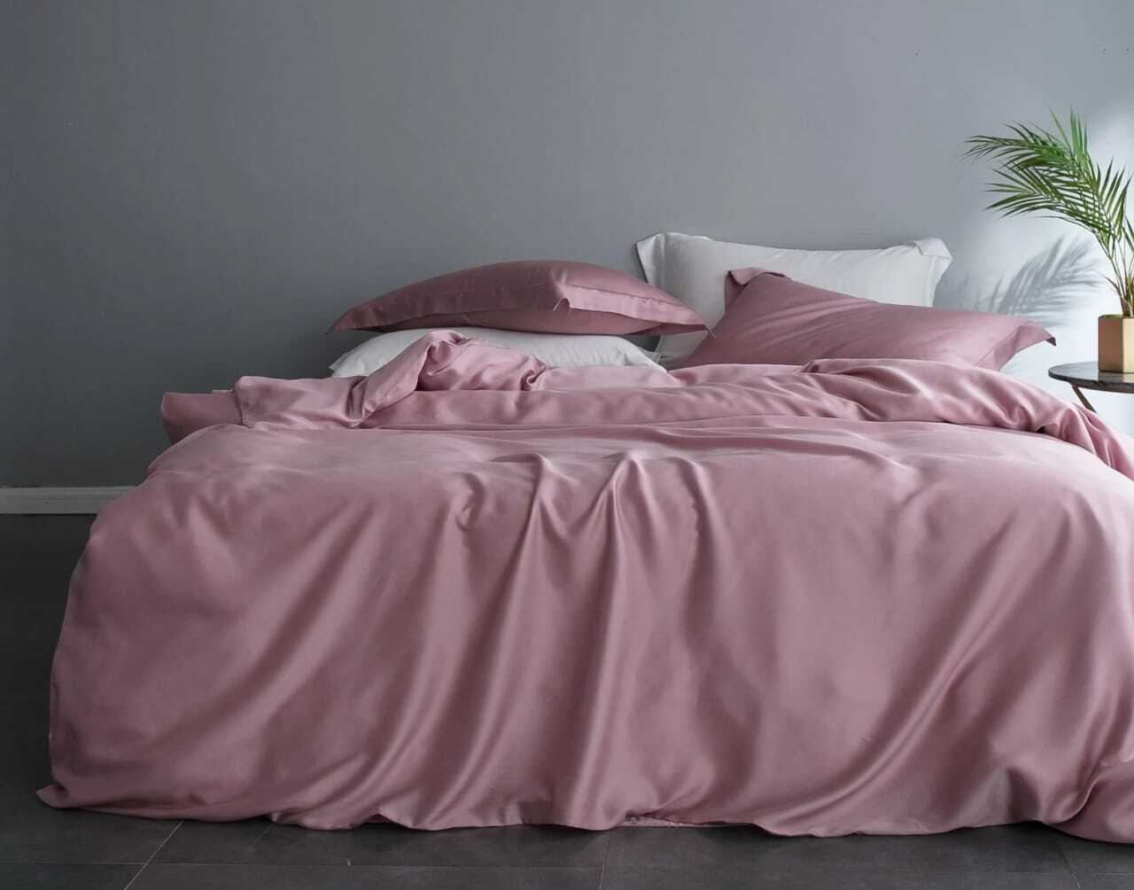 ZEPHYR HOME КПБ на двуспалку Тенсель пудра