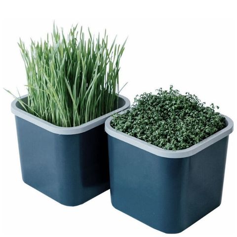 Проращиватель Здоровья Клад графит (2-х модульный)