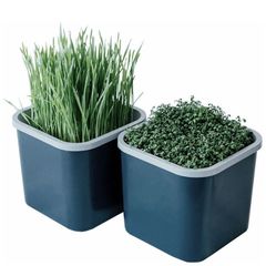 Проращиватель Здоровья Клад графит (2-х модульный)