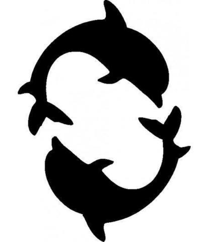 дельфины 1