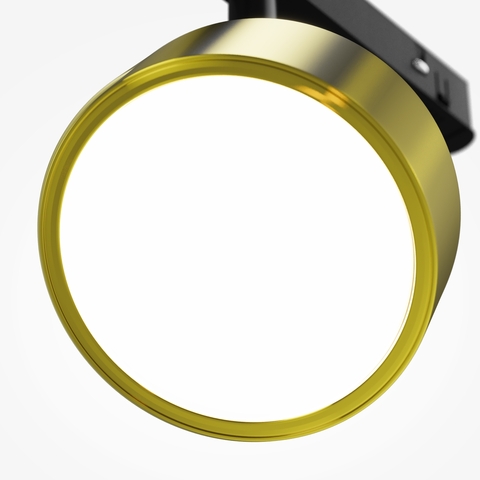 Магнитный трековый светильник Maytoni Rado TR040-2-18W4K-BBS