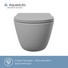 Aqueduto OVOT2130 AQD OVO Tornado Унитаз подвесной 525*360 безободковый, Tornado, сиденье с микролифтом, серый матовый