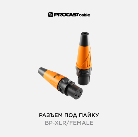 PROCAST cable BP-XLR/Female XLR (female) балансный разъем для фиксированной инсталляции
