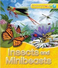 Explorers: Insects and Minibeasts