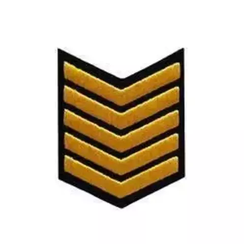 Курсовка вышитая  черно-желтая   5 курс