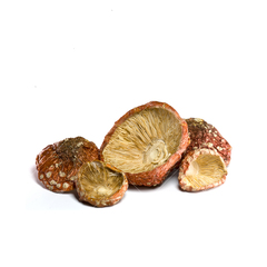 Мухомор красный отборные молодые шляпки 100 гр. Свежий сбор!