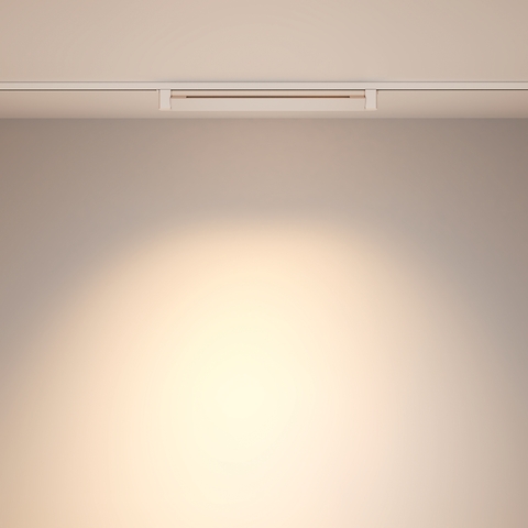 Трековый светильник Maytoni Points rot TR010-1-20W4K-M-W
