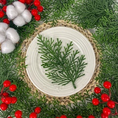 Набор травяных лапок туи, искусственные, 15*11 см, набор 30 шт.