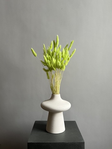 Лагурус зеленый