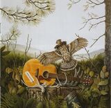 DANDY WARHOLS, THE: This Machine (Компакт-диск)