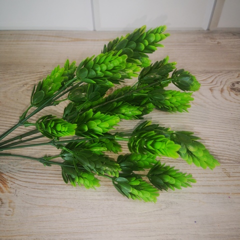 Зелень Шишечки/Хмель 7 веточек Салатно-зеленые
