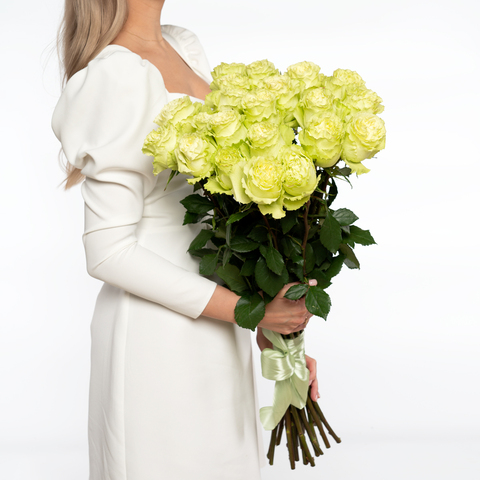 Букет 25 лаймовых роз Эквадор