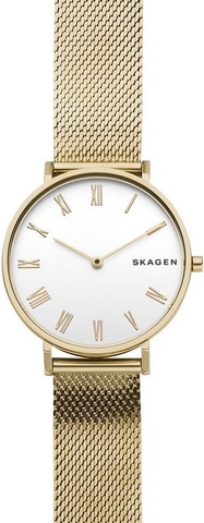 Наручные часы Skagen SKW2713 фото