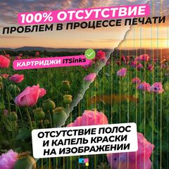 Картридж ITSinks, с чернилами ECO-SOL MAX, ESL3-4MG, Magenta, 440 мл, для Roland BN-20/SP-540i/RE-640/XJ-740/RS-640/XJ-640/VS-300/VS-420/VS-540/VS-640/SP-300i/SP-540i/SP-540i/XC-540MT/XC-540/XC-540W/SJ-1045EX/RS-540