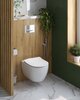Cezares CZR-191-TH/BS/CZR-2316-SC Унитаз подвесной безободковый с функцией биде Cezares COMFORT CZR-191-TH/BS/CZR-2316-SC