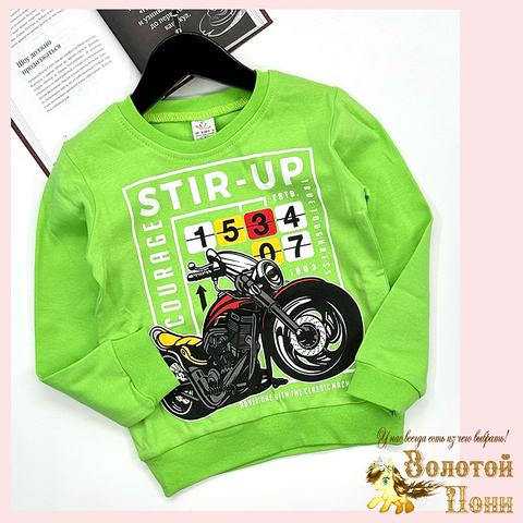 Свитшот хлопок м (6-9) 251128-SSD167