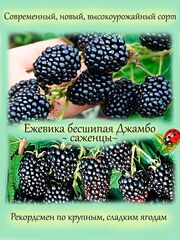 Съедобные