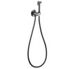 Abber Wasser Kreis AF8125NG Смеситель с гигиеническим душем, цвет: серый