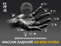 Массажное кресло FUJIMO 氣 GURU2 F800 Коричневый