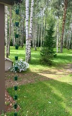 Дождевая цепь «Ведра на кольцах», зеленый RAL6005