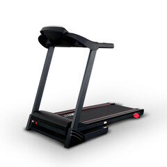 Беговая дорожка EveryFit 74305A