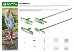 РОСТОК 370 x 100 x 1300 мм, 12 витых зубьев, рабочая поверхность из стали, покрытие краска, черенок деревянный высш. сорт, грабли (421900-12)