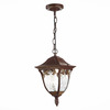Светильник уличный подвесной ST Luce Chiani SL083.703.01