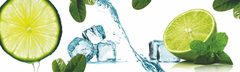 Кухонный фартук Лайм и мята (Ф-255) 2000х600 мм