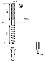 Walraven M10 x 80 мм винт-шуруп с шестигранником 8 мм и шлицем Torx (6283008)