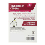 Обучающие карточки 
