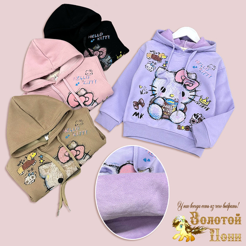 Худи начес девочке (2-6) 250917-AN5041