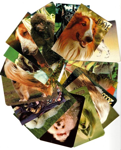 Календарики карманные 15 штук - Собаки - СССР, Россия молодая