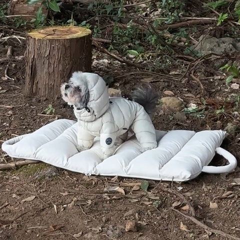 019 SO - Сумки для собак 