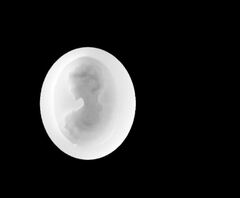 Силиконовый молд Камея № 44