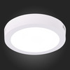 Светильник настенно-потолочный ST Luce ST112.542.12