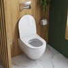 Cezares CZR-191-TH/BS/CZR-2316-SC Унитаз подвесной безободковый с функцией биде Cezares COMFORT CZR-191-TH/BS/CZR-2316-SC