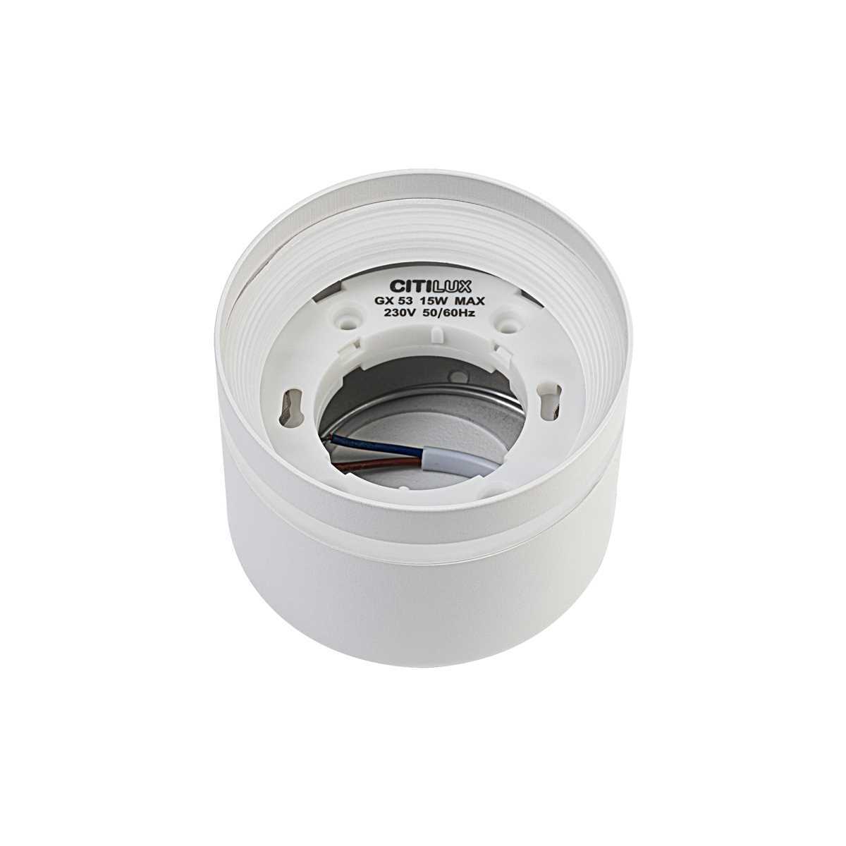 Потолочный светильник Citilux Hardy CL002C10