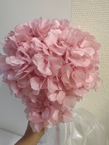 Гортензия стаб. крупнолистовая Нежно-розовый