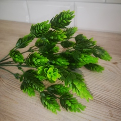 Зелень Шишечки/Хмель 7 веточек Салатно-зеленые