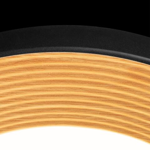 Потолочный светодиодный светильник Loft It Folk 10255/500 Black