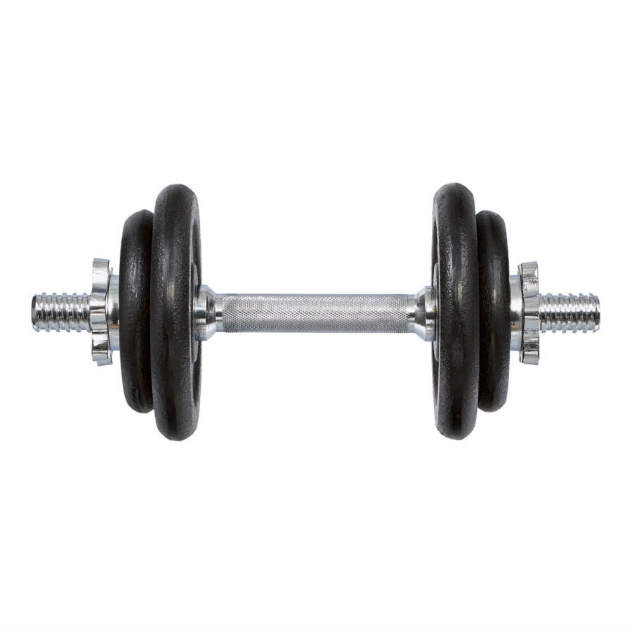 Гантель сборная Lite Weights 13 кг