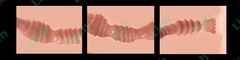 Мастурбатор Spider Backside анус hands free черный