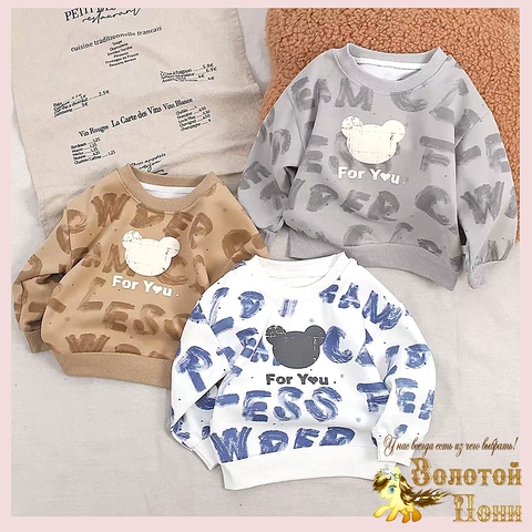 Свитшот хлопок м (1-5) 250616-X156