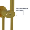 RGW 581408213-06 Гигиенический душ со смесителем RGW SP-213-Gb Золото браш (Смеситель/шланг/гигиенический душ/)