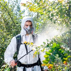 Опрыскиватель садовый Greenworks G24BSPII 24V аккумуляторный, без АКБ и ЗУ