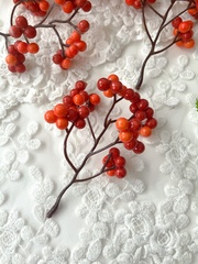 Ягоды на ветке, ягодки 7-8 мм, Оранжевые, веточка 11 см, набор 10 шт.