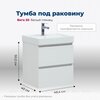 Aquanet 367322 Тумба с раковиной Вега 50 (Ирис T) 2 ящ. цв. белый глянец (367322)