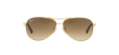 Ray-Ban RB8313 001/51